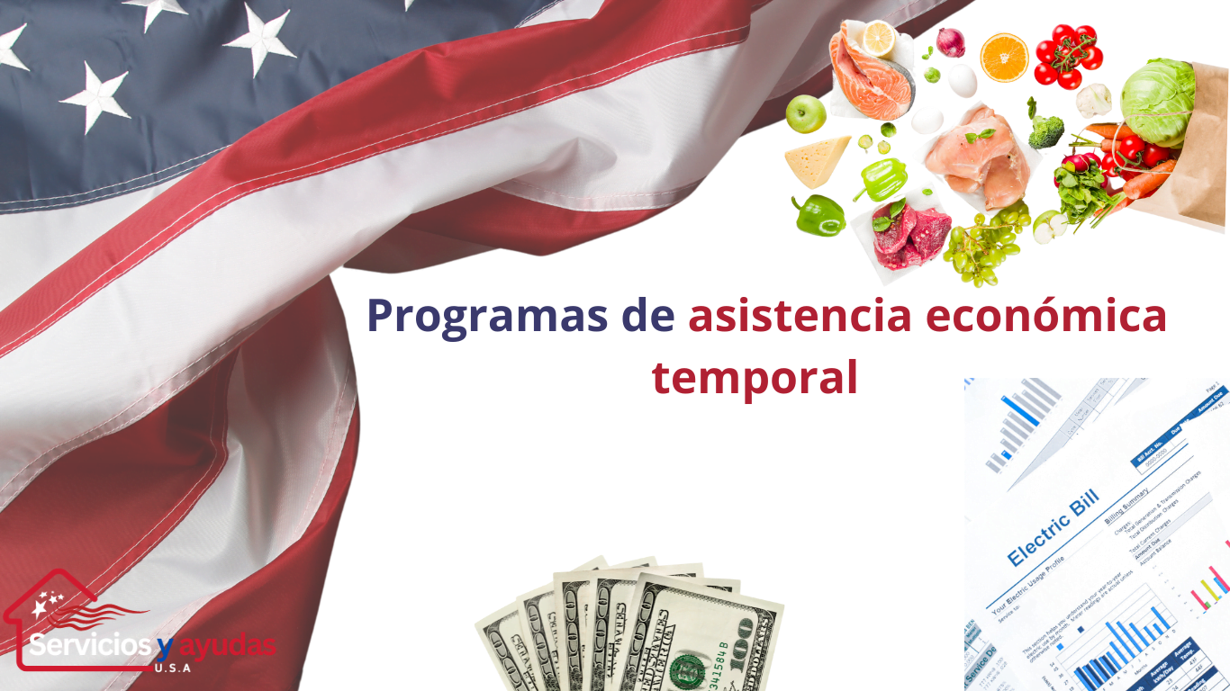 Representa una imagen sobre Servicios de asistencia económica en la página web de servicios de asistencia alimentaria. E en la parte derecha tiene una bandera de Estados unidos ondeando, unos billetes en el centro inferior, unas facturas de luz en la parte inferior derecha y unos alimentos variados en la parte superior derecha todo en un fondo blanco.